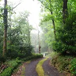 Les Des Beaux Chenes Mortagne-sur-Sevre