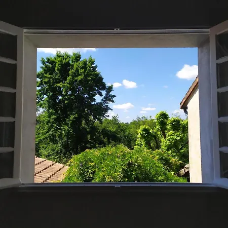Canopée