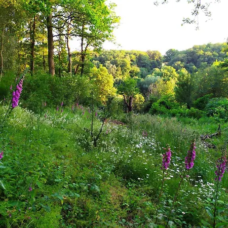 アパート Les Des Beaux Chenes *