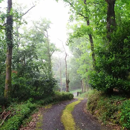 Les Des Beaux Chênes Mortagne-sur-Sevre