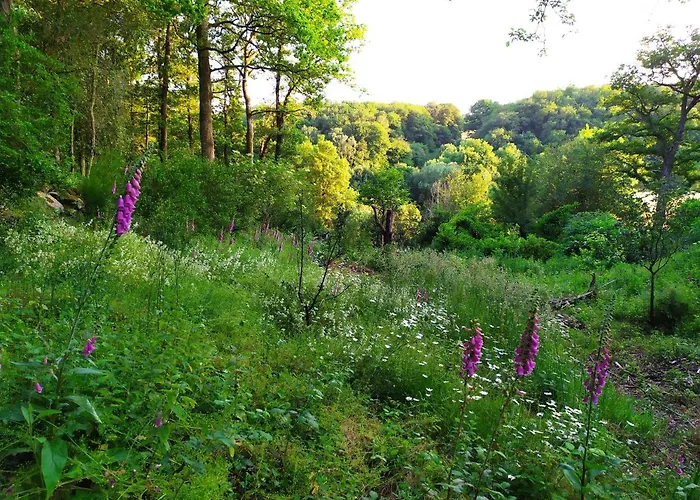 公寓 Les Des Beaux Chenes *