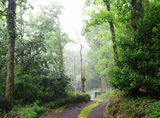 Les Des Beaux Chenes Mortagne-sur-Sevre
