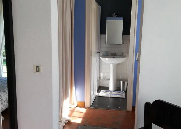 Les Des Beaux Chenes