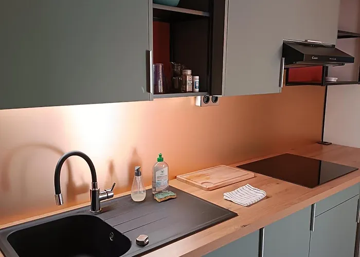 公寓 Les Des Beaux Chenes Mortagne-sur-Sevre